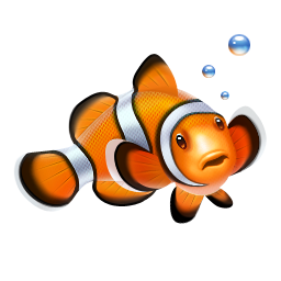 poisson clown nemo